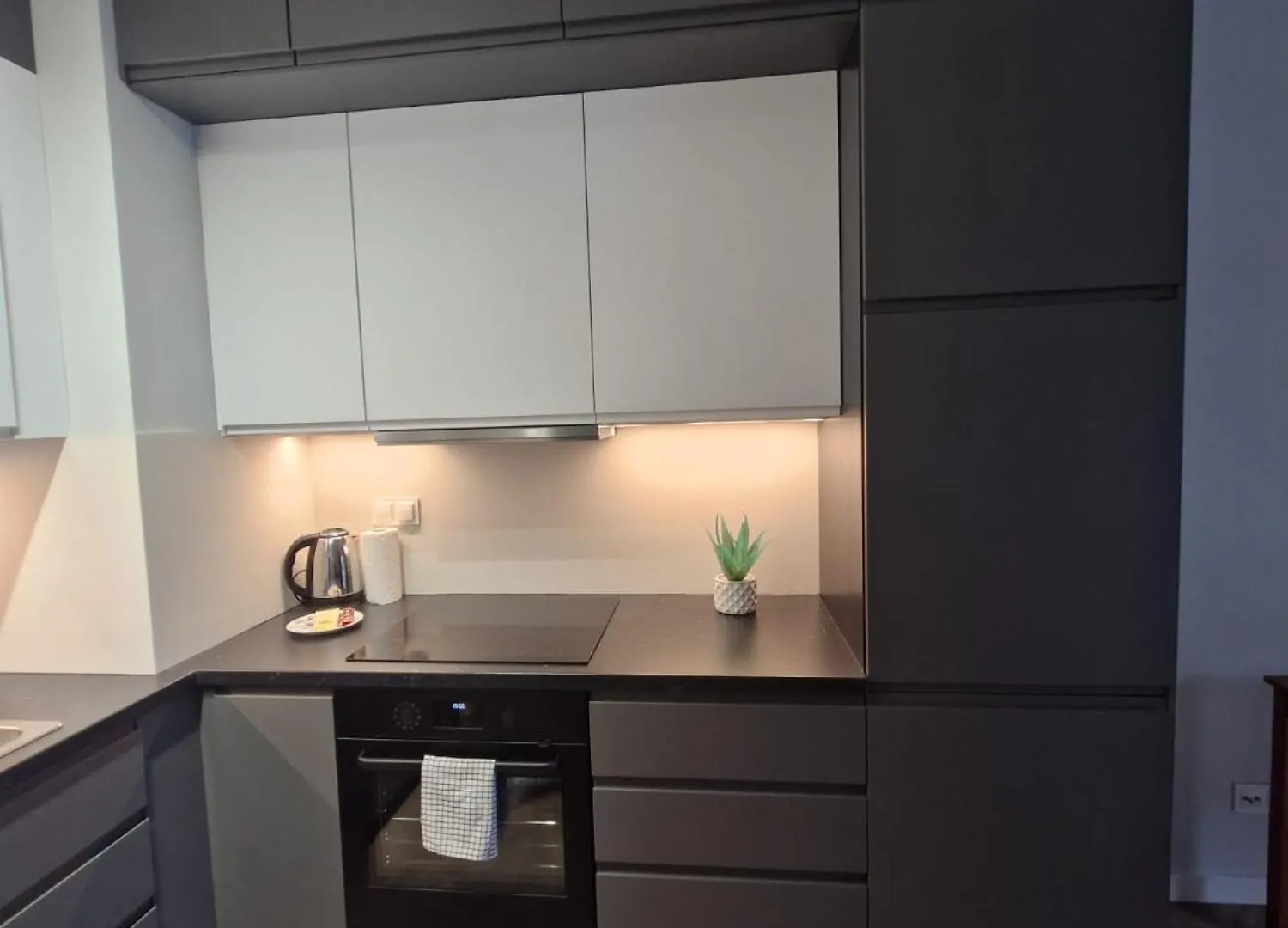 Szarych Szeregow Elegant Apartment Βαρσοβία Πολωνία